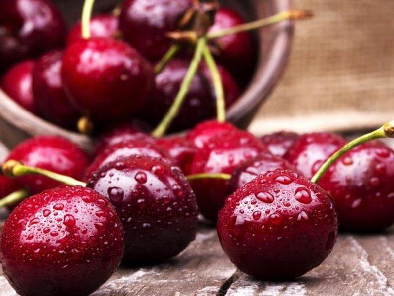 Вишня купить саженцы из питомника в Азове